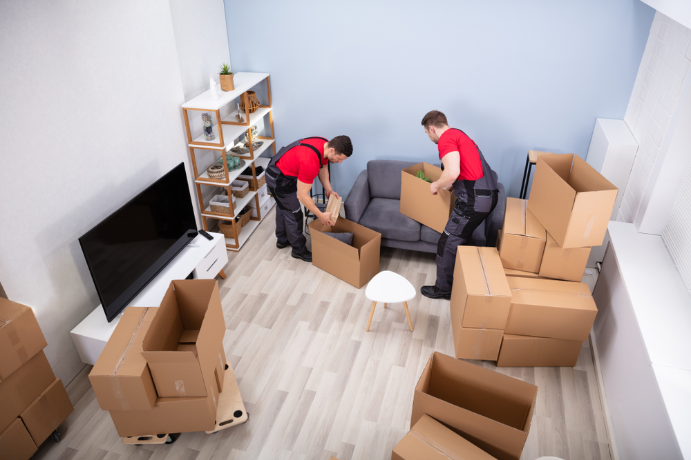 Best Packers and Movers Dubai